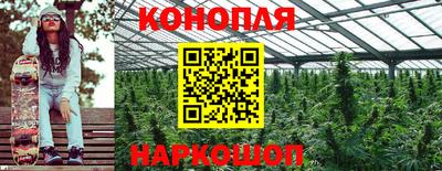 крисы Белореченск