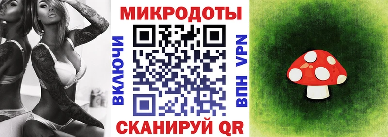Псилоцибиновые грибы Cubensis  даркнет сайт  Моршанск 