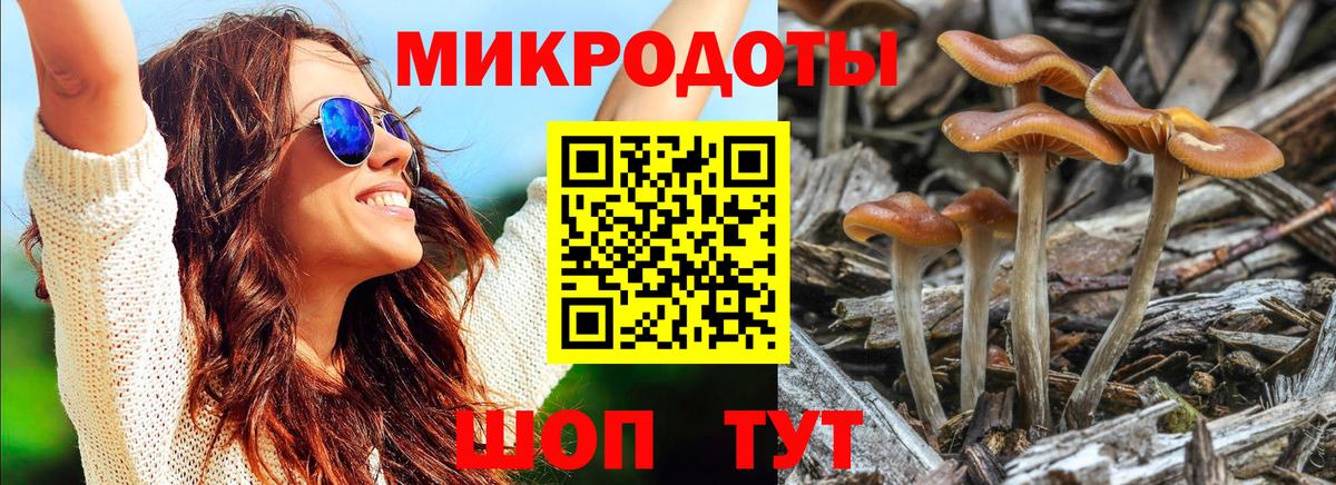 Моршанск  Галлюциногенные грибы Psilocybine cubensis  Вход с VPN 